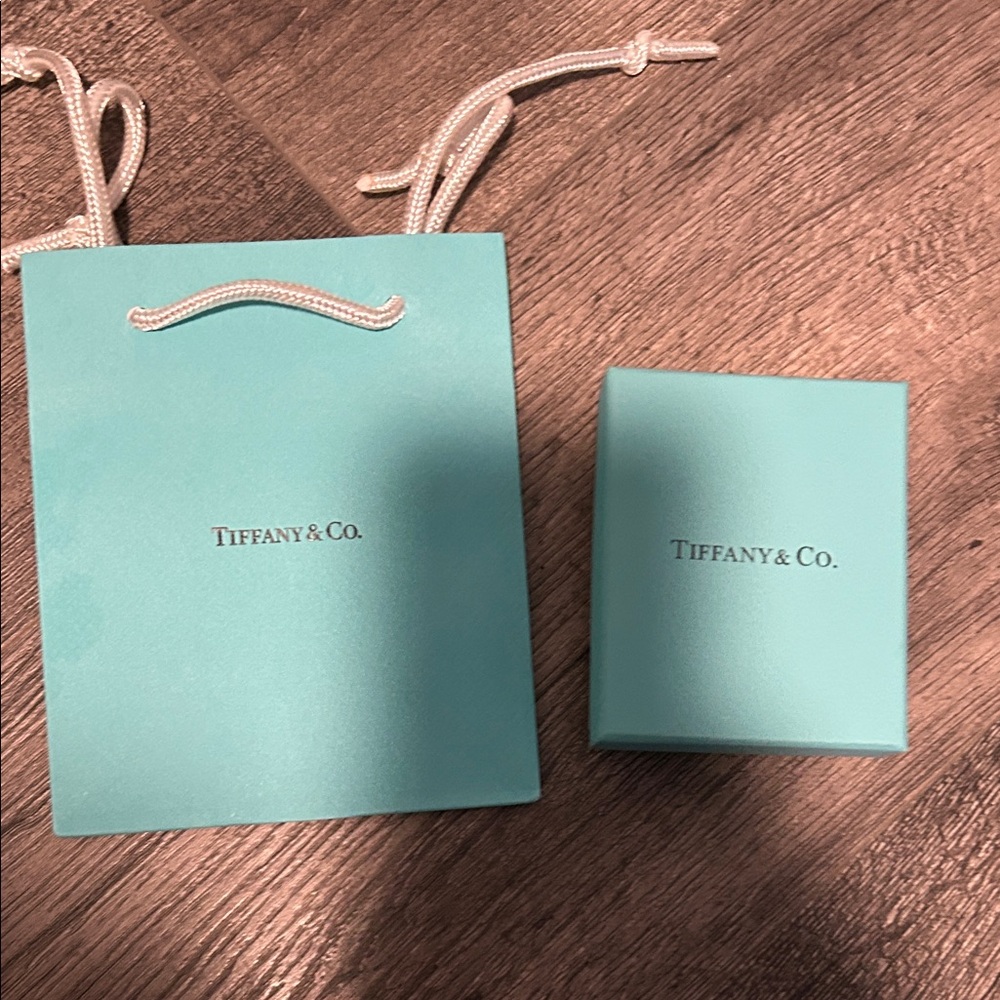 Tiffany & Co. Turquoise Bag and Box Set
